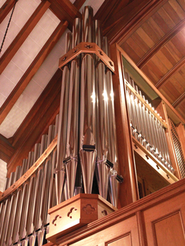 Organ Photo